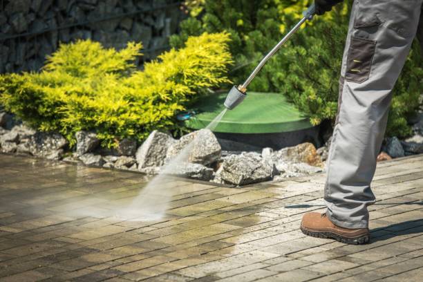 Best Soft Washing for Delicate Surfaces in Tabor City, NC