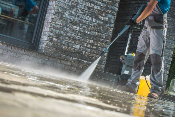 Best Driveway Cleaning and Restoration in Tabor City, NC